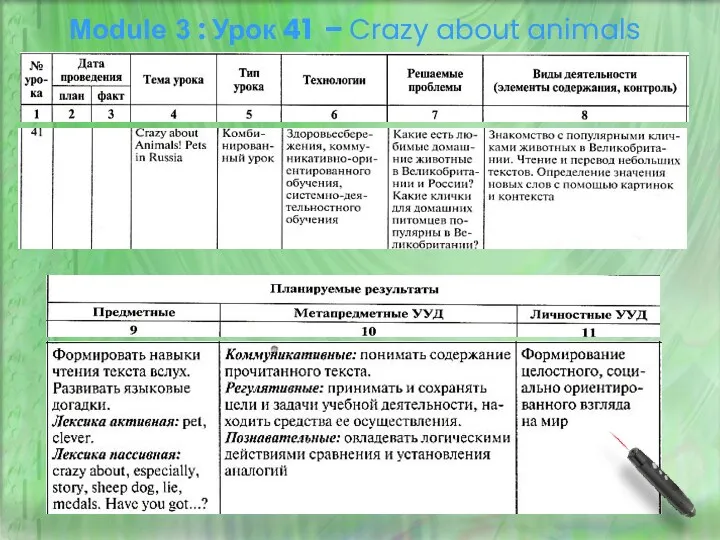 Module 3 : Урок 41 – Crazy about animals