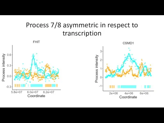 Process 7/8 asymmetric in respect to transcription