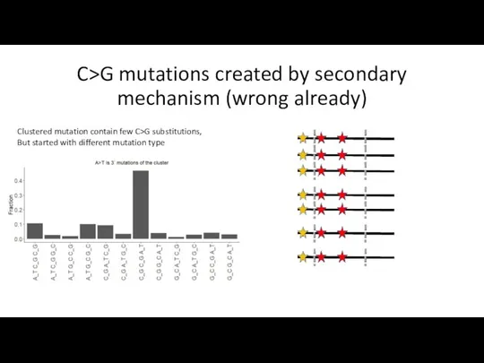 C>G mutations created by secondary mechanism (wrong already) Clustered mutation