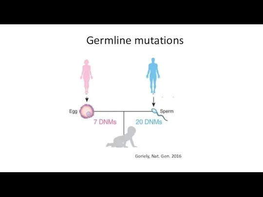 Germline mutations Goriely, Nat. Gen. 2016