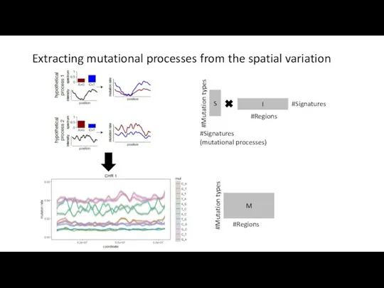 Extracting mutational processes from the spatial variation I #Regions #Signatures