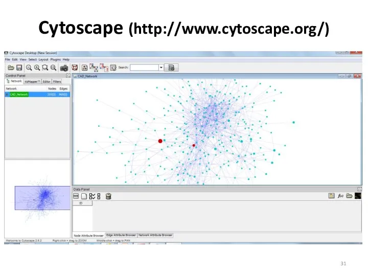 Cytoscape (http://www.cytoscape.org/)