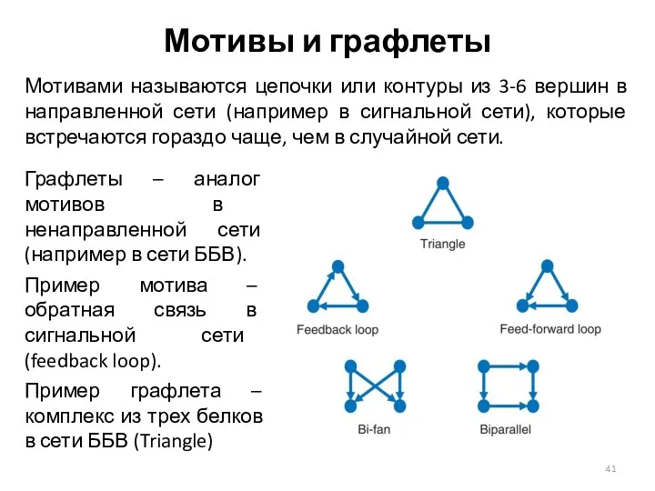 Мотивы и графлеты Мотивами называются цепочки или контуры из 3-6 вершин в направленной