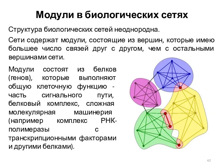 Модули в биологических сетях Структура биологических сетей неоднородна. Сети содержат модули, состоящие из
