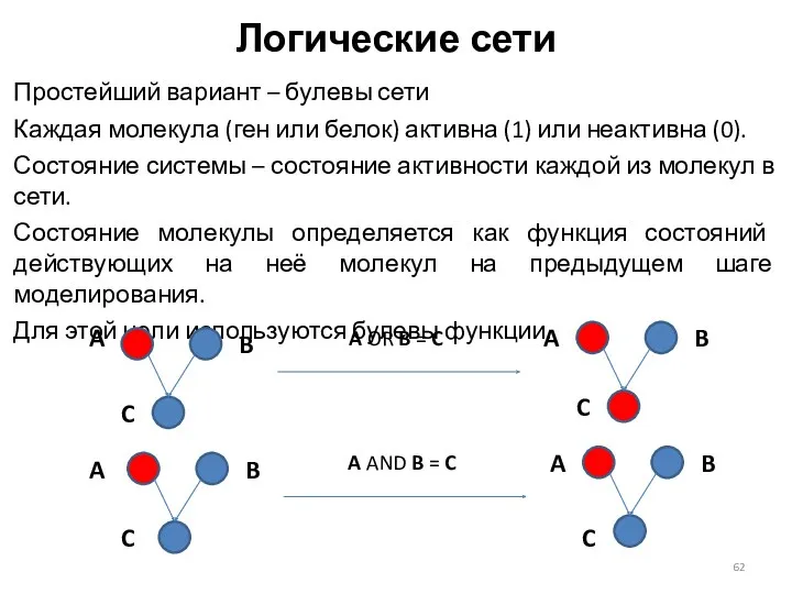 Логические сети Простейший вариант – булевы сети Каждая молекула (ген или белок) активна