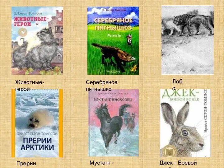 Животные-герои Серебряное пятнышко Мустанг - иноходец Джек – Боевой конёк Прерии Арктики Лобо