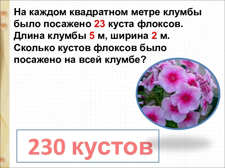 На каждом квадратном метре клумбы было посажено 23 куста флоксов.