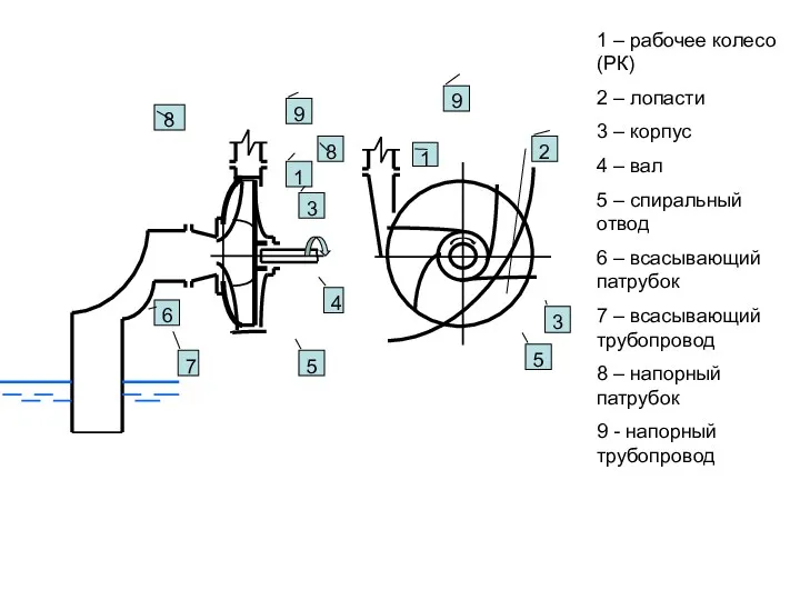 1 1 1 – рабочее колесо (РК) 2 – лопасти