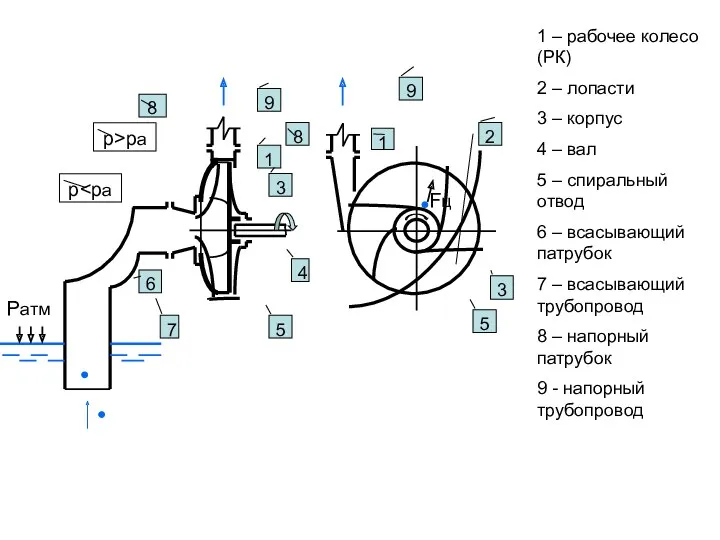 Ратм 1 1 1 – рабочее колесо (РК) 2 –