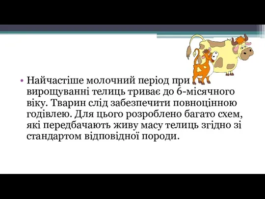 Найчастіше молочний період при вирощуванні телиць триває до 6-місячного віку. Тварин слід забезпечити