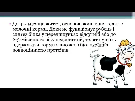 До 4-х місяців життя, основою живлення телят є молочні корми. Доки не функціонує