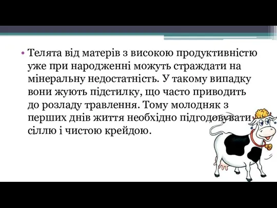 Телята від матерів з високою продуктивністю уже при народженні можуть страждати на мінеральну