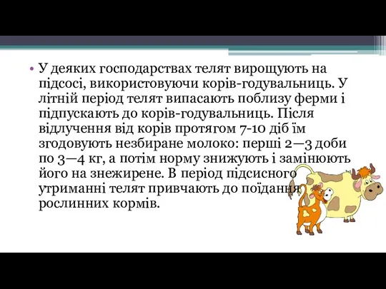 У деяких господарствах телят вирощують на підсосі, використовуючи корів-годувальниць. У літній період телят