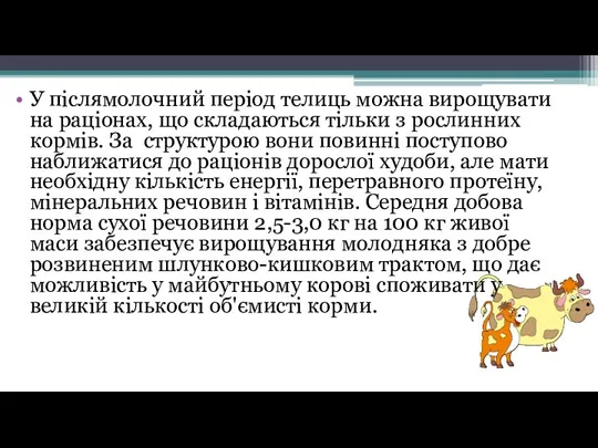 У післямолочний період телиць можна вирощувати на раціонах, що складаються тільки з рослинних