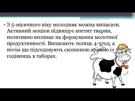 З 5-місячного віку молодняк можна випасати. Активний моціон підвищує апетит тварин, позитивно впливає