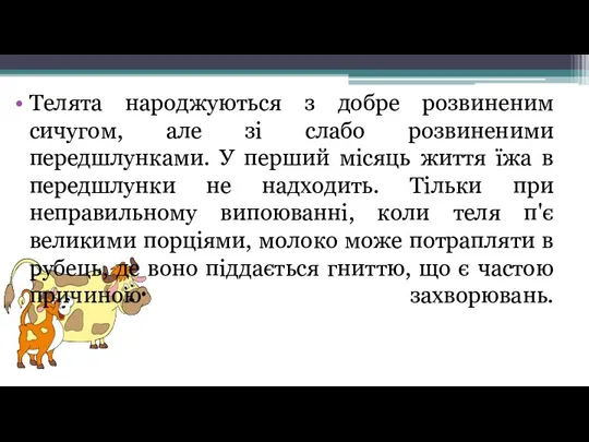 Телята народжуються з добре розвиненим сичугом, але зі слабо розвиненими передшлунками. У перший