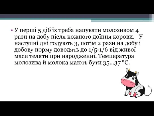 У перші 5 діб їх треба напувати молозивом 4 рази на добу після