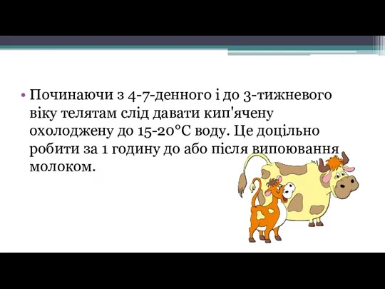 Починаючи з 4-7-денного і до 3-тижневого віку телятам слід давати кип'ячену охолоджену до