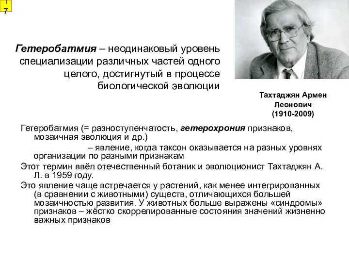 Гетеробатмия – неодинаковый уровень специализации различных частей одного целого, достигнутый