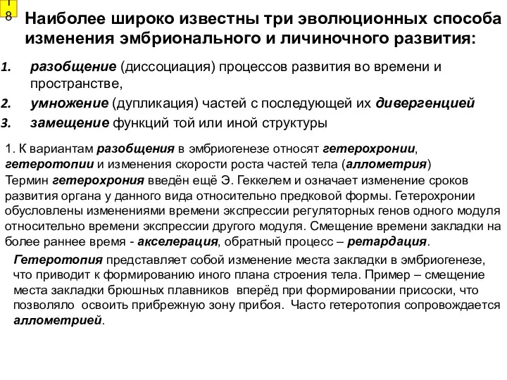 Наиболее широко известны три эволюционных способа изменения эмбрионального и личиночного