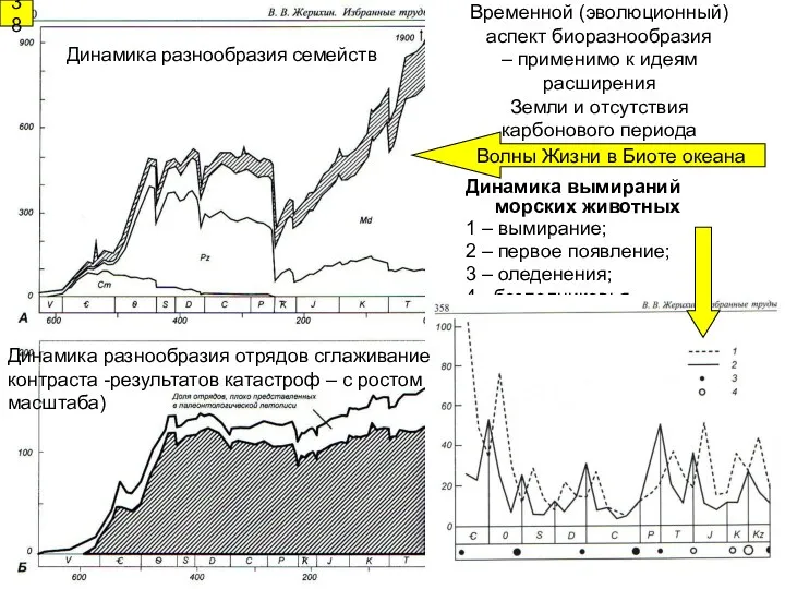 Динамика вымираний морских животных 1 – вымирание; 2 – первое