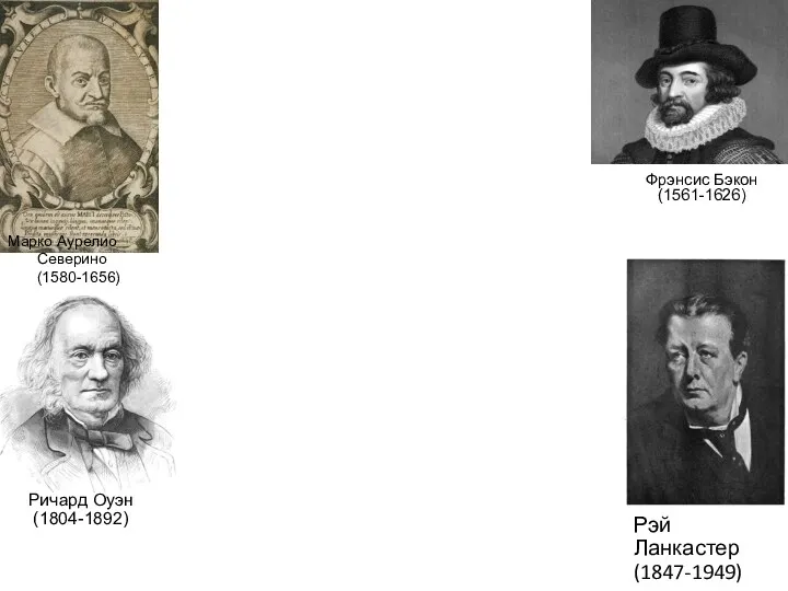 Марко Аурелио Северино (1580-1656) Фрэнсис Бэкон (1561-1626) Рэй Ланкастер (1847-1949) Ричард Оуэн (1804-1892)