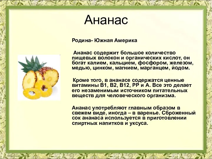 Ананас Родина- Южная Америка Ананас содержит большое количество пищевых волокон