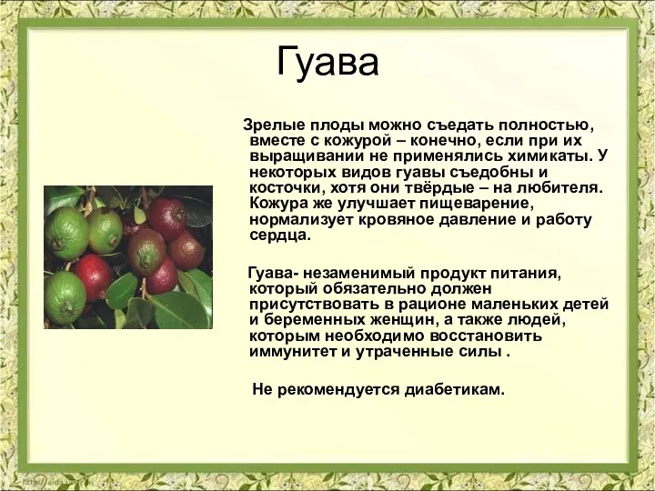 Гуава Зрелые плоды можно съедать полностью, вместе с кожурой –