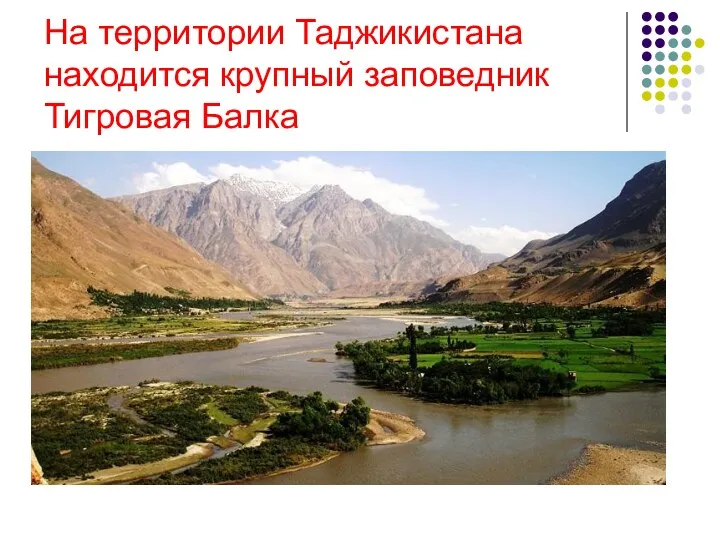 На территории Таджикистана находится крупный заповедник Тигровая Балка