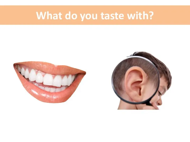 What do you taste with?