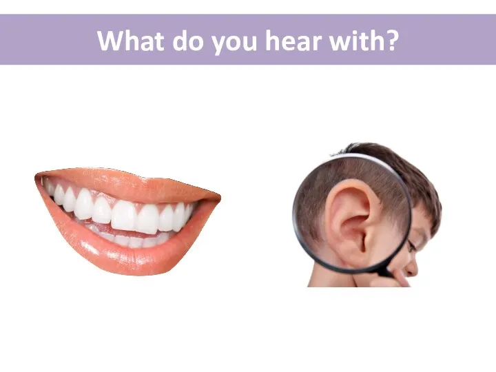What do you hear with?