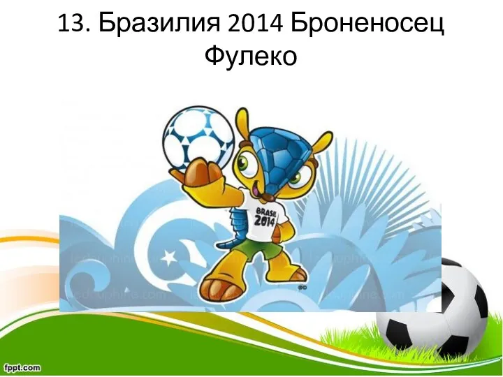 13. Бразилия 2014 Броненосец Фулеко