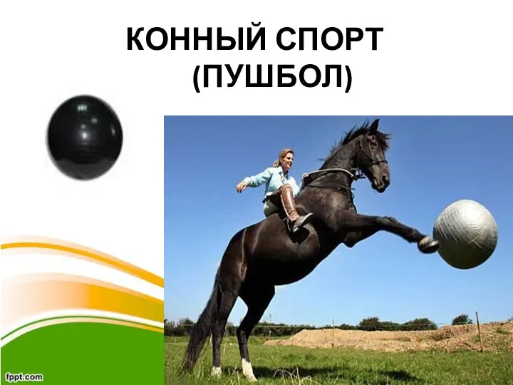 КОННЫЙ СПОРТ (ПУШБОЛ)