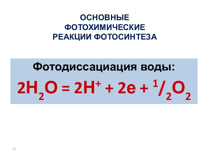 ОСНОВНЫЕ ФОТОХИМИЧЕСКИЕ РЕАКЦИИ ФОТОСИНТЕЗА Фотодиссациация воды: 2Н2О = 2Н+ + 2е + 1/2О2
