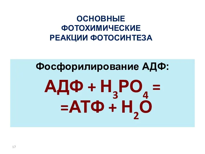 ОСНОВНЫЕ ФОТОХИМИЧЕСКИЕ РЕАКЦИИ ФОТОСИНТЕЗА Фосфорилирование АДФ: АДФ + Н3РО4 = =АТФ + Н2О