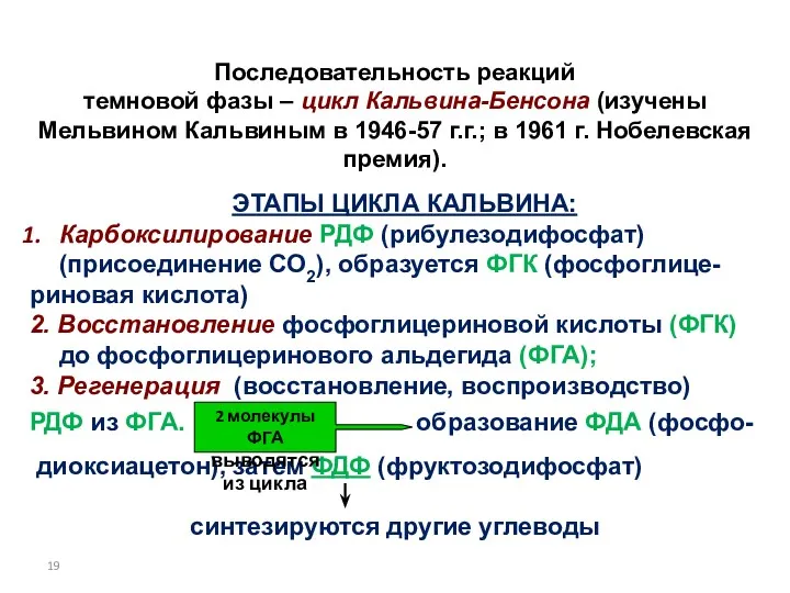 Последовательность реакций темновой фазы – цикл Кальвина-Бенсона (изучены Мельвином Кальвиным