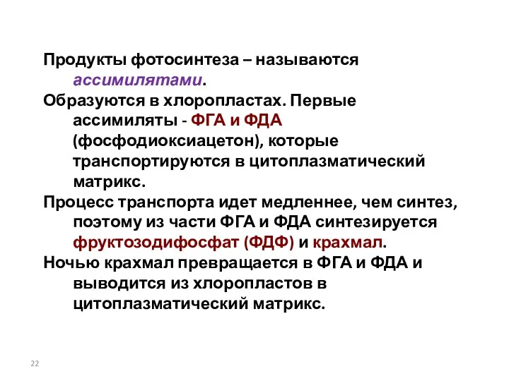 Продукты фотосинтеза – называются ассимилятами. Образуются в хлоропластах. Первые ассимиляты