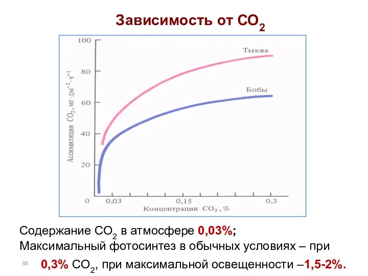 Зависимость от СО2 Содержание СО2 в атмосфере 0,03%; Максимальный фотосинтез