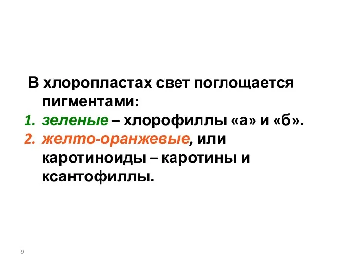 В хлоропластах свет поглощается пигментами: зеленые – хлорофиллы «а» и