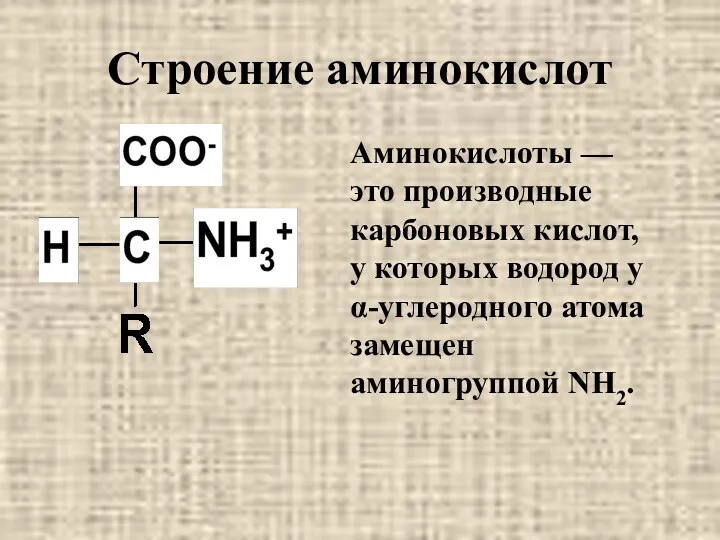 Строение аминокислот Аминокислоты — это производные карбоновых кислот, у которых