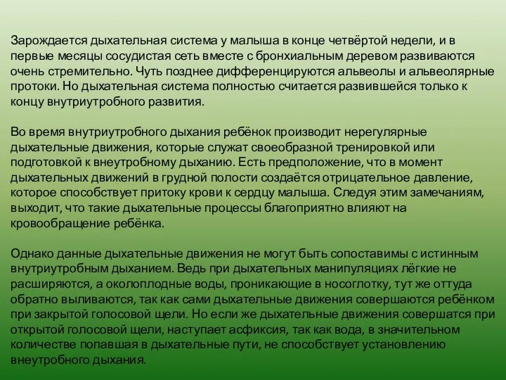 Зарождается дыхательная система у малыша в конце четвёртой недели, и