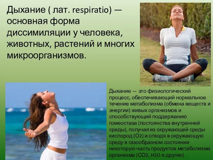 Дыхание ( лат. respiratio) — основная форма диссимиляции у человека,