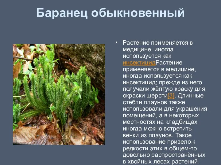 Баранец обыкновенный Растение применяется в медицине, иногда используется как инсектицидРастение