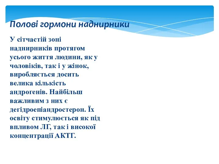 У сітчастій зоні наднирників протягом усього життя людини, як у