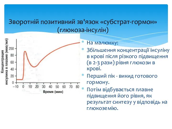 Зворотній позитивний зв'язок «субстрат-гормон» (глюкоза-інсулін) На малюнку: Збільшення концентрації інсуліну