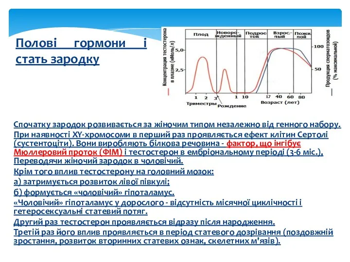 Полові гормони і стать зародку Спочатку зародок розвивається за жіночим