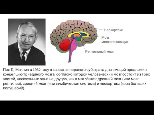 Пол Д. Маклин в 1952 году в качестве нервного субстрата