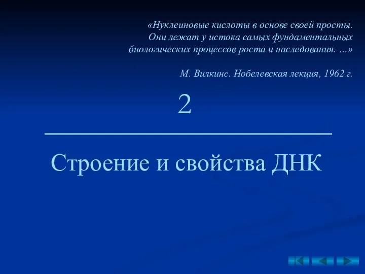 Строение и свойства ДНК 2 «Нуклеиновые кислоты в основе своей