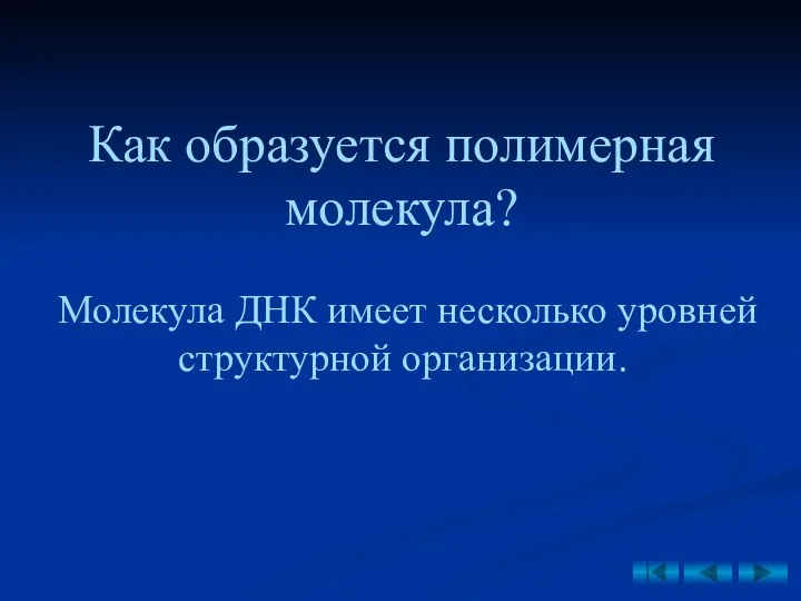 Как образуется полимерная молекула? Молекула ДНК имеет несколько уровней структурной организации.