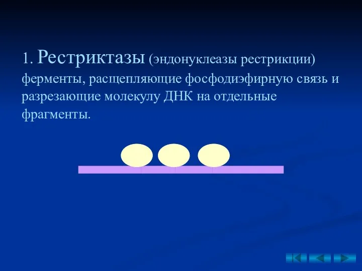 1. Рестриктазы (эндонуклеазы рестрикции) ферменты, расщепляющие фосфодиэфирную связь и разрезающие молекулу ДНК на отдельные фрагменты.